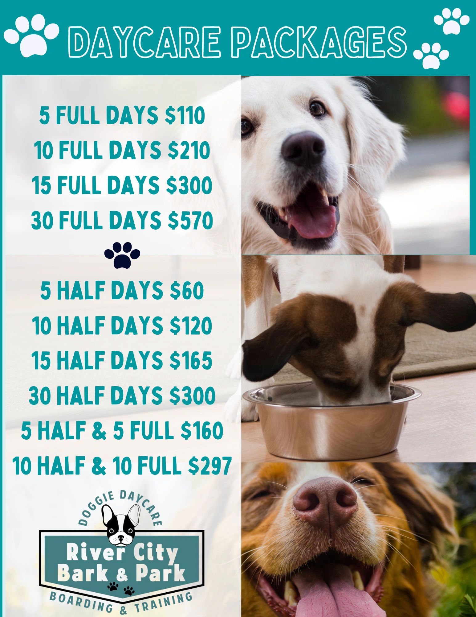 how-much-does-it-cost-to-board-a-dog-dog-care-tips-dogs-healthy-dogs